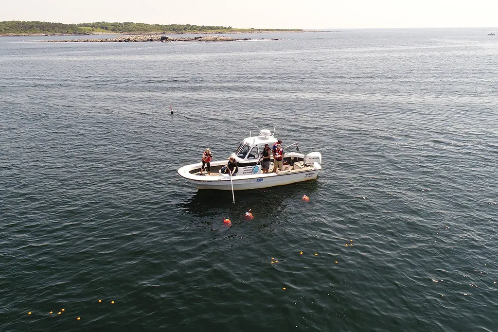 U N E students work on a research boat surrounded by water